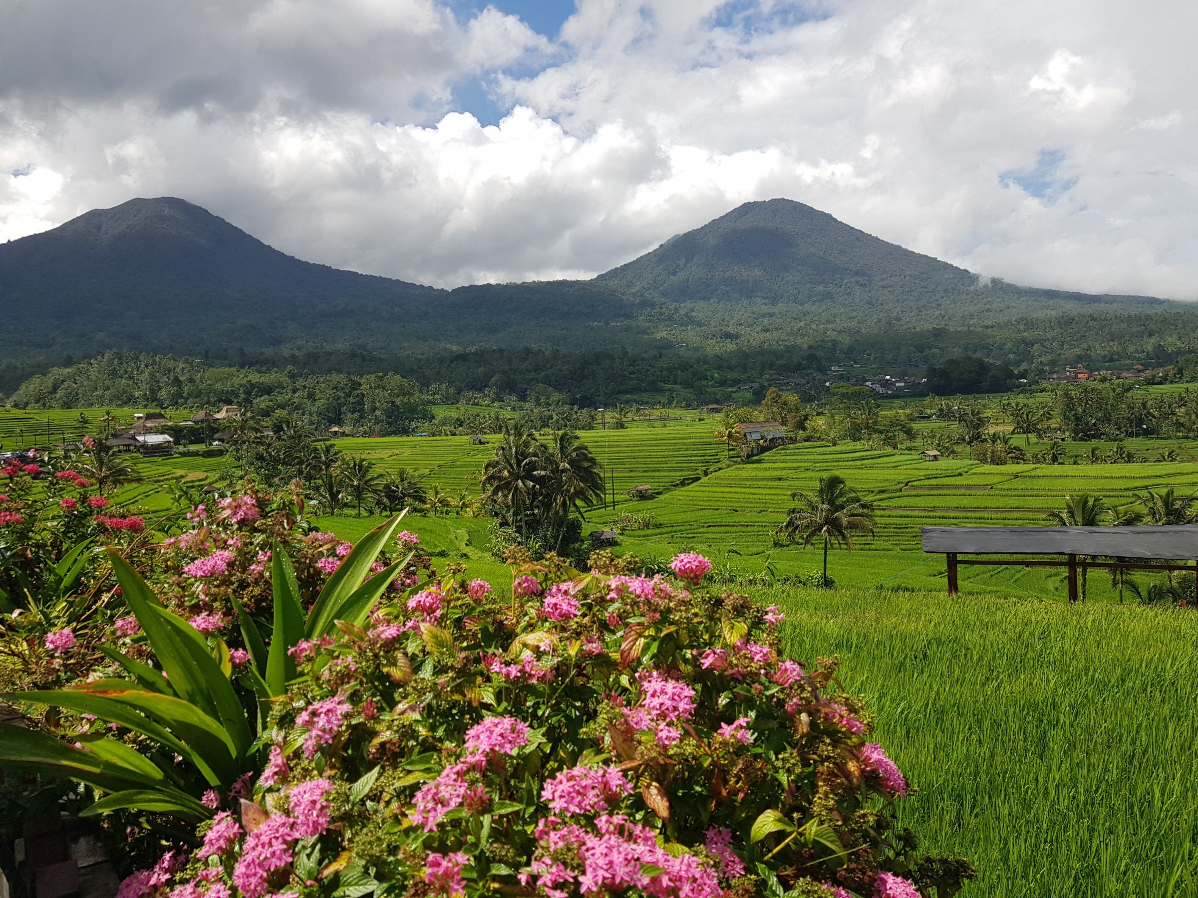 Tropical Trails Bali