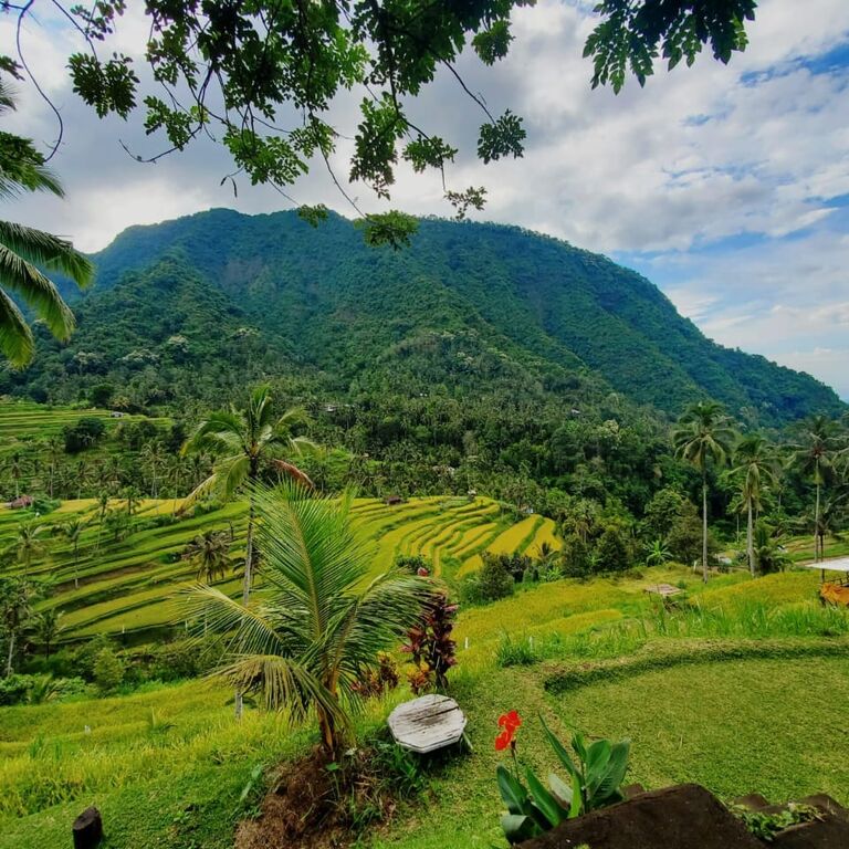 Kadek Bali Driver