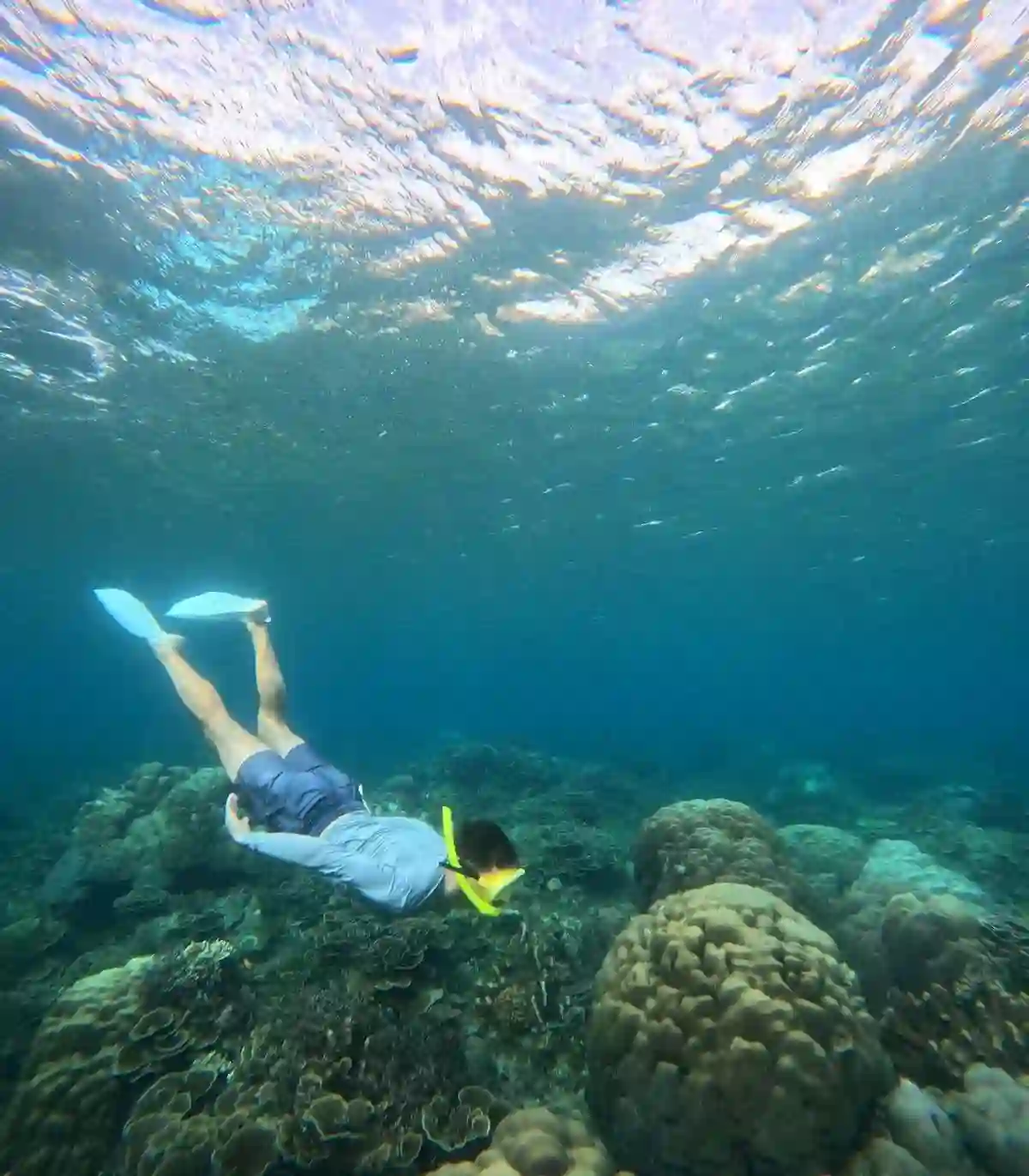 Amed Snorkeling & Scooter Rent