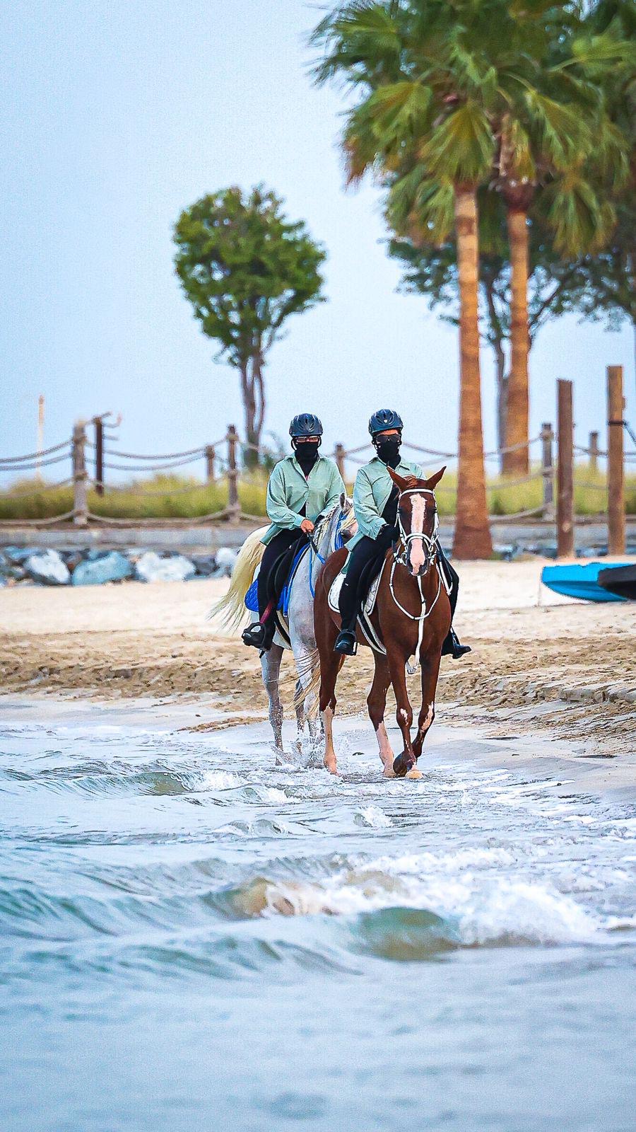 Abu Dhabi: Beach Horse Riding