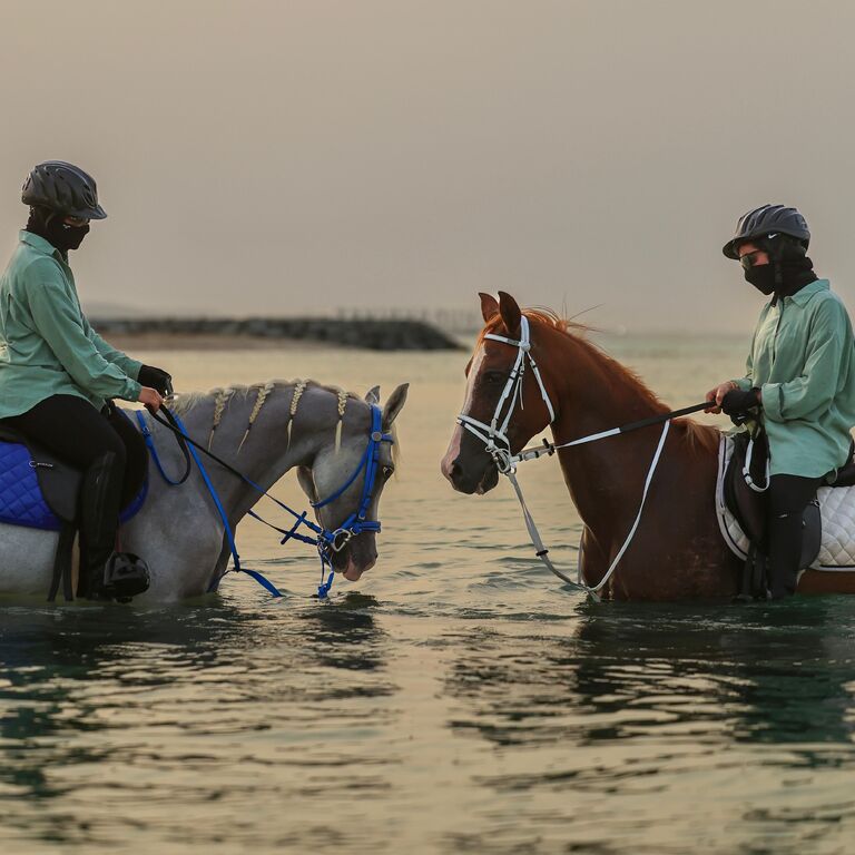 Abu Dhabi: Beach Horse Riding