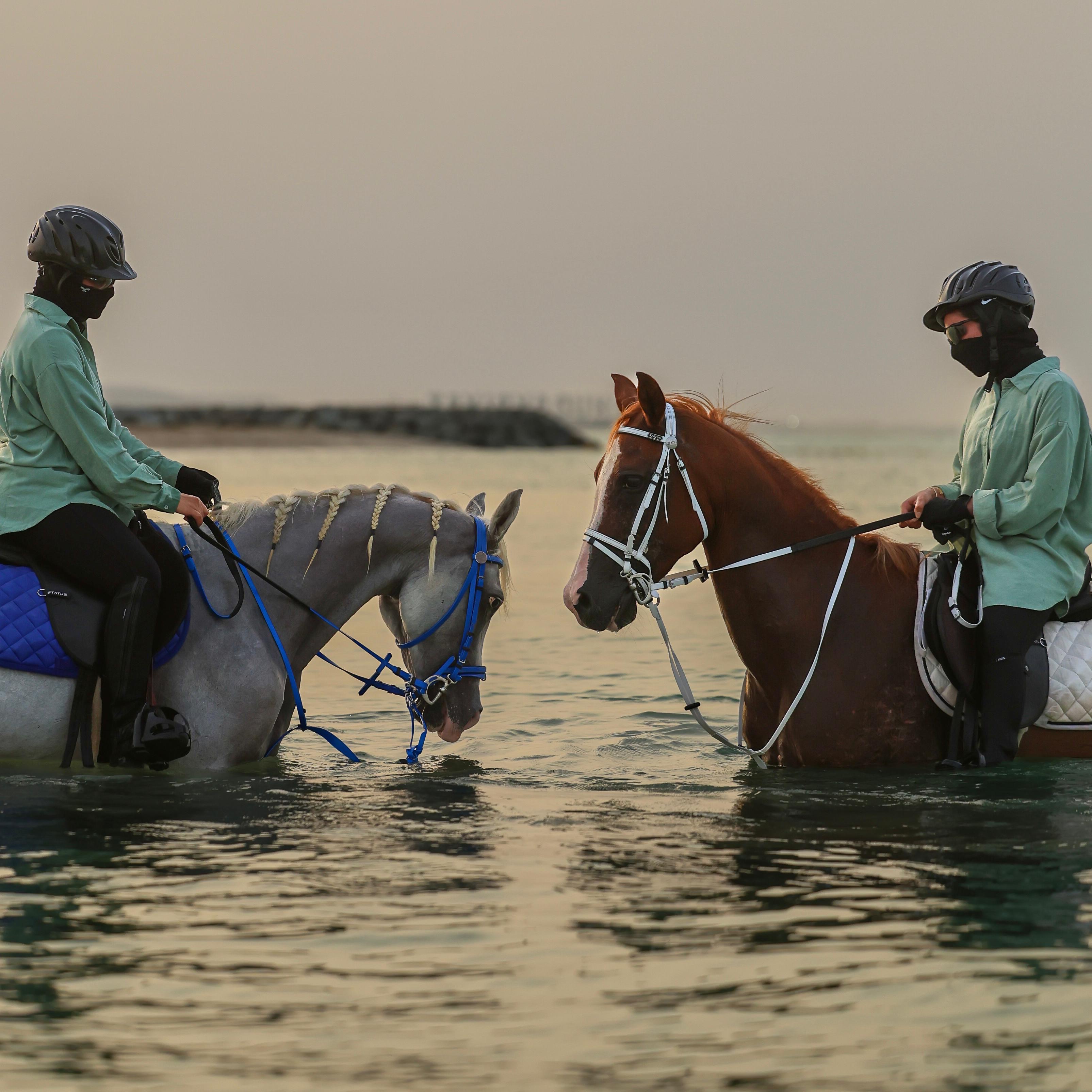 Abu Dhabi: Beach Horse Riding
