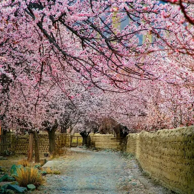 Explore Pakistan