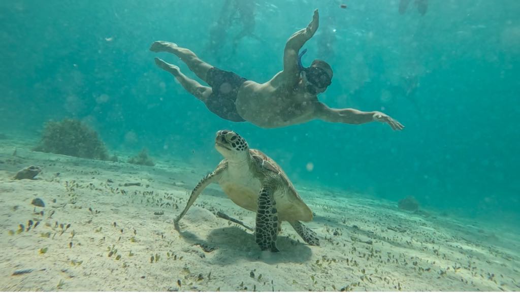 Jcalbert Travel & Tours