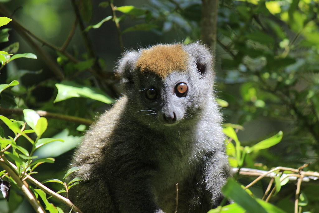 GO TRAVEL MADAGASCAR