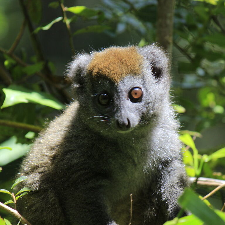 GO TRAVEL MADAGASCAR