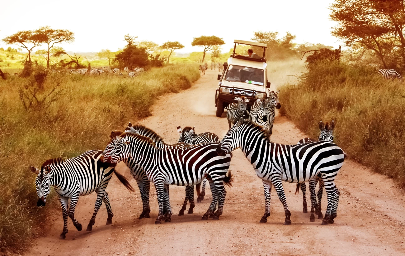 Responsible African Safaris