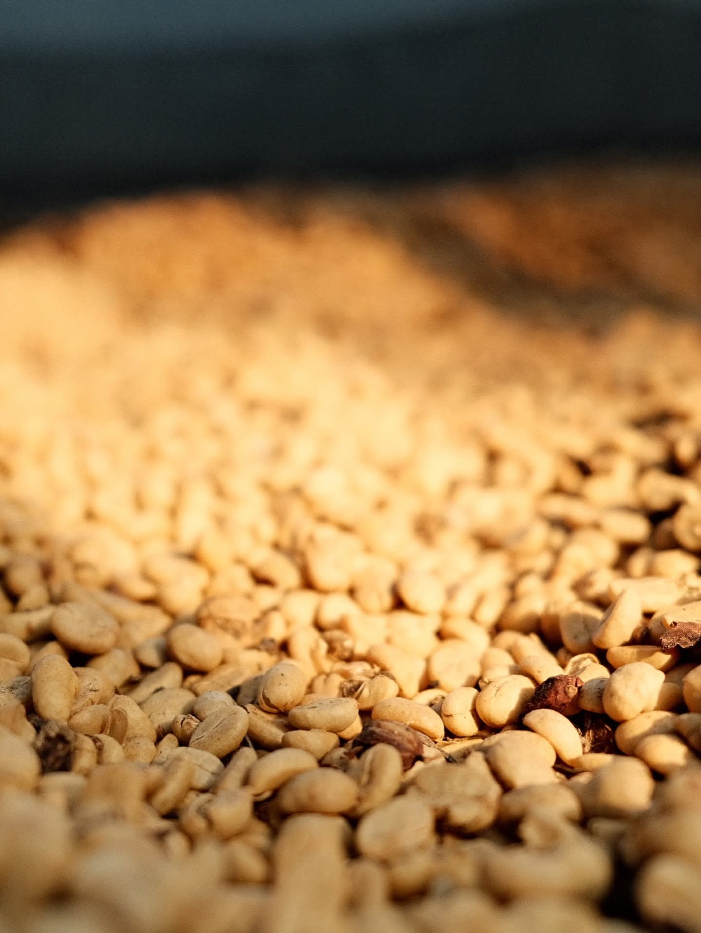 Lombok tourism transport