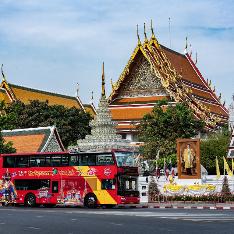Elephant Bus Tours