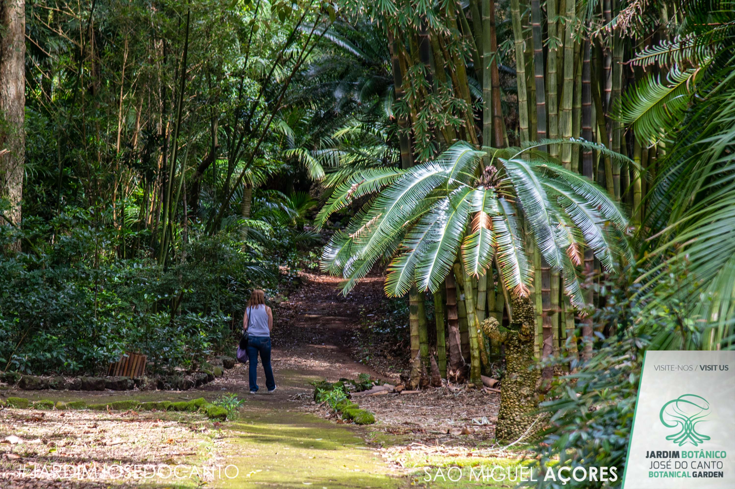 Jardim Botânico José do Canto