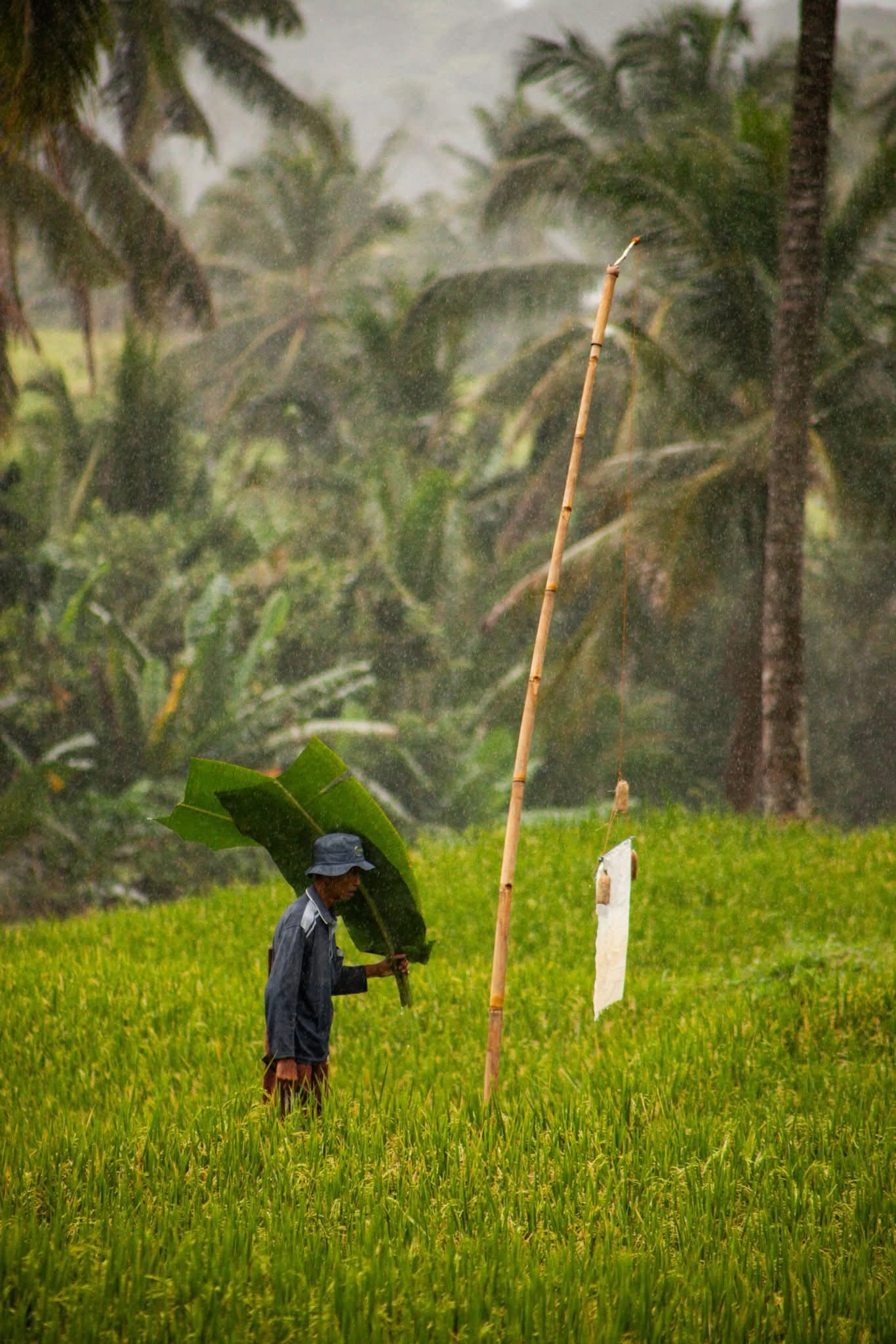 Lombok transportation