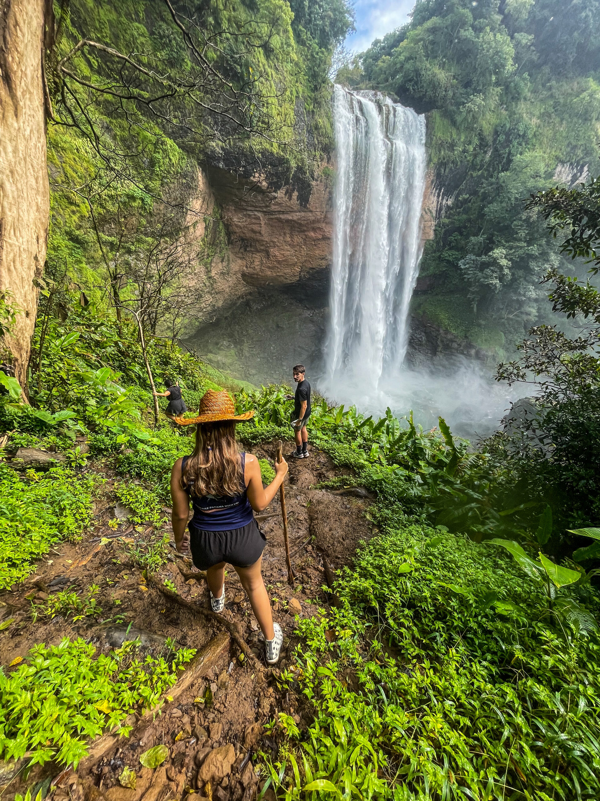 Panama Bubble Trips