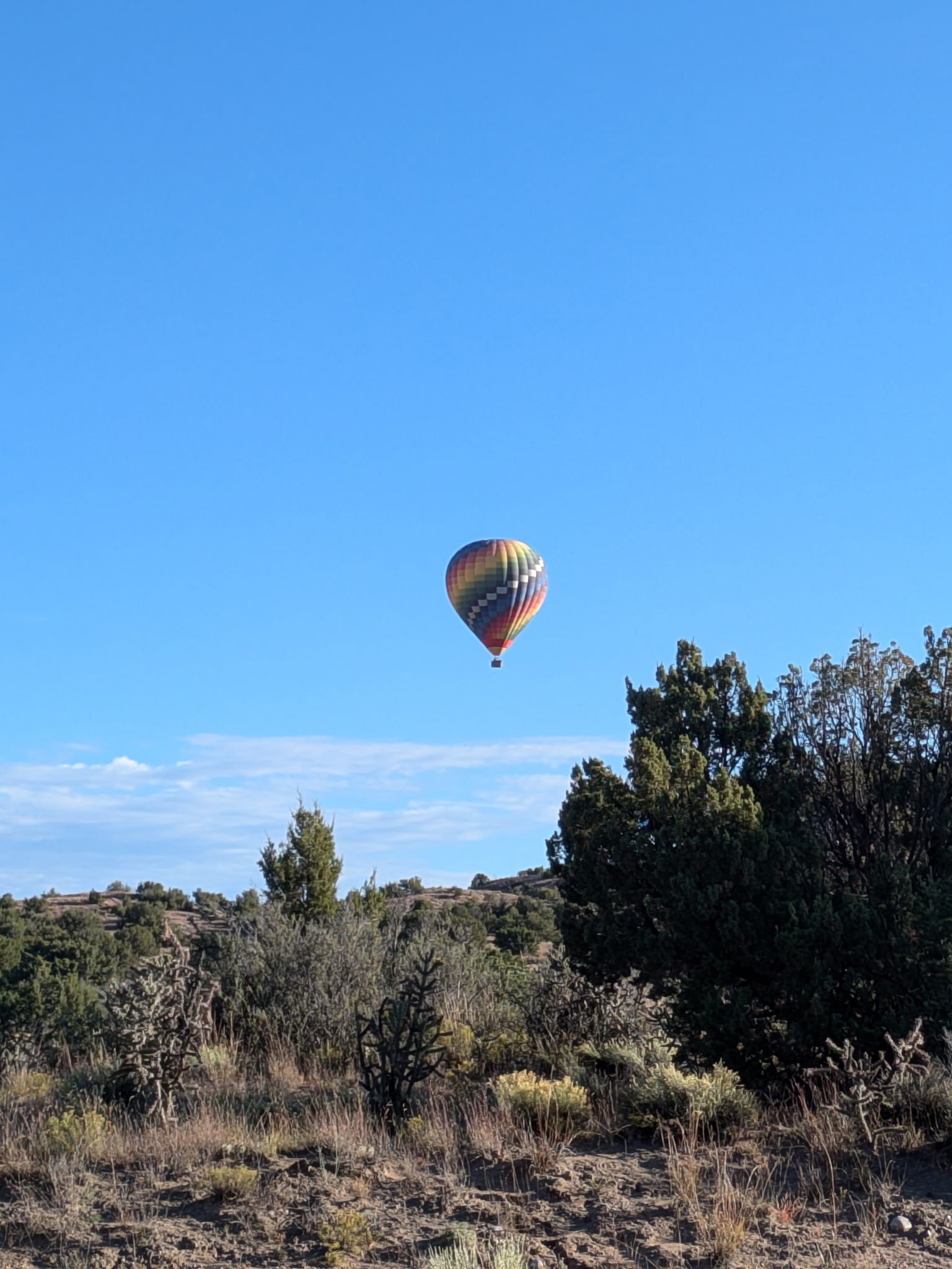 Balloon Above New Mexico in Santa Fe