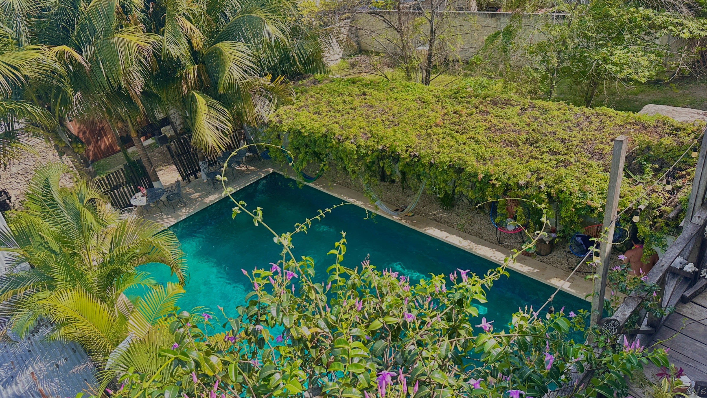 Hotel Jaiba Mahahual