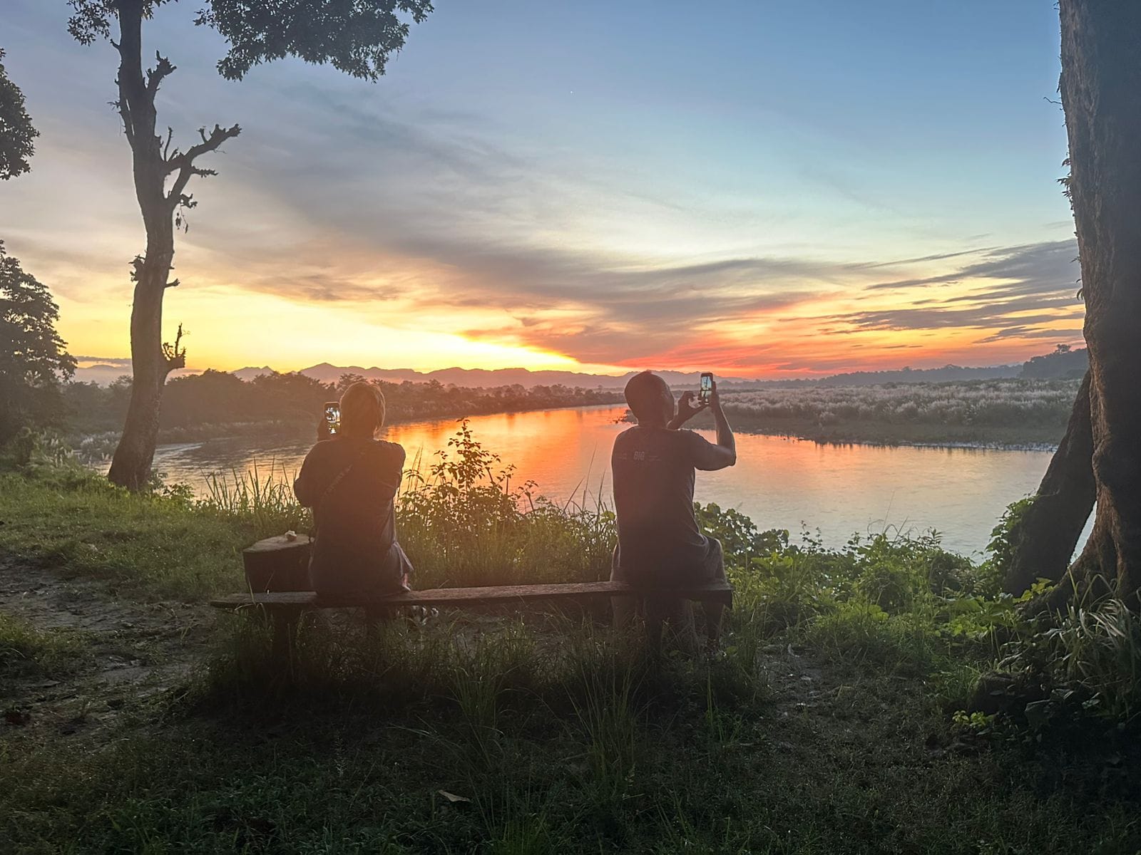 Jungle Expert Treks and Tours
