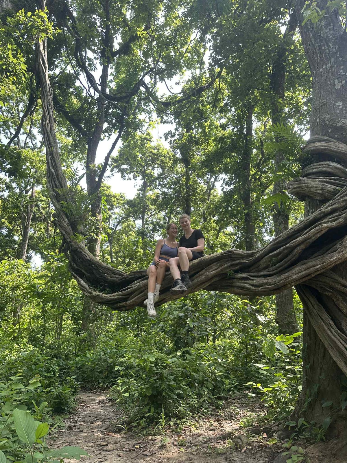Jungle Expert Treks and Tours