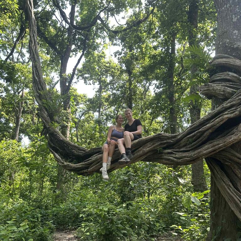 Jungle Expert Treks and Tours