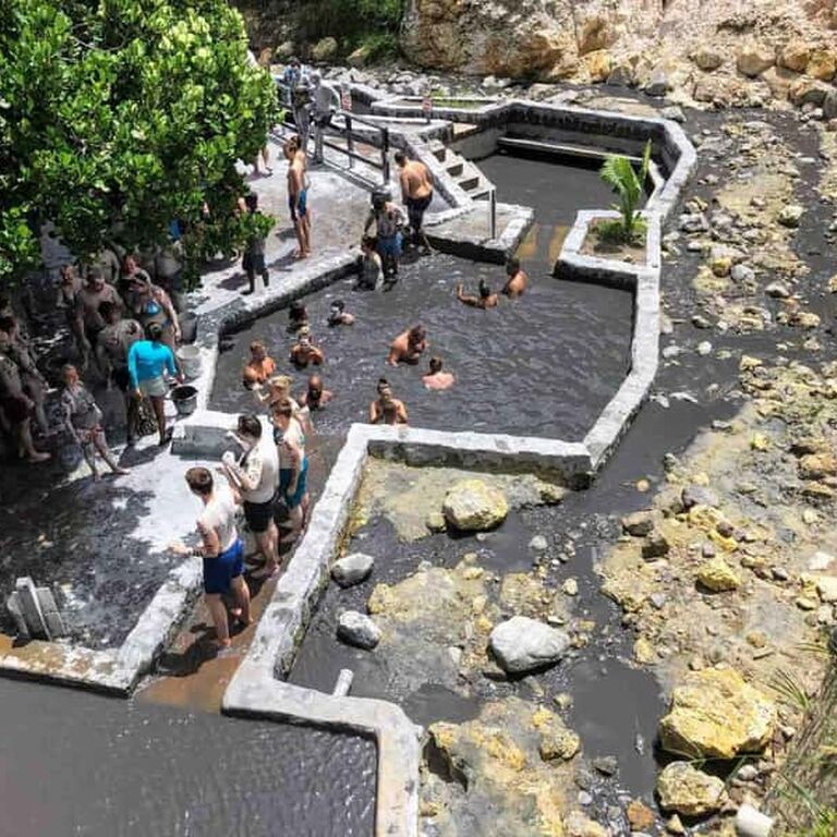 Paradise Seekers