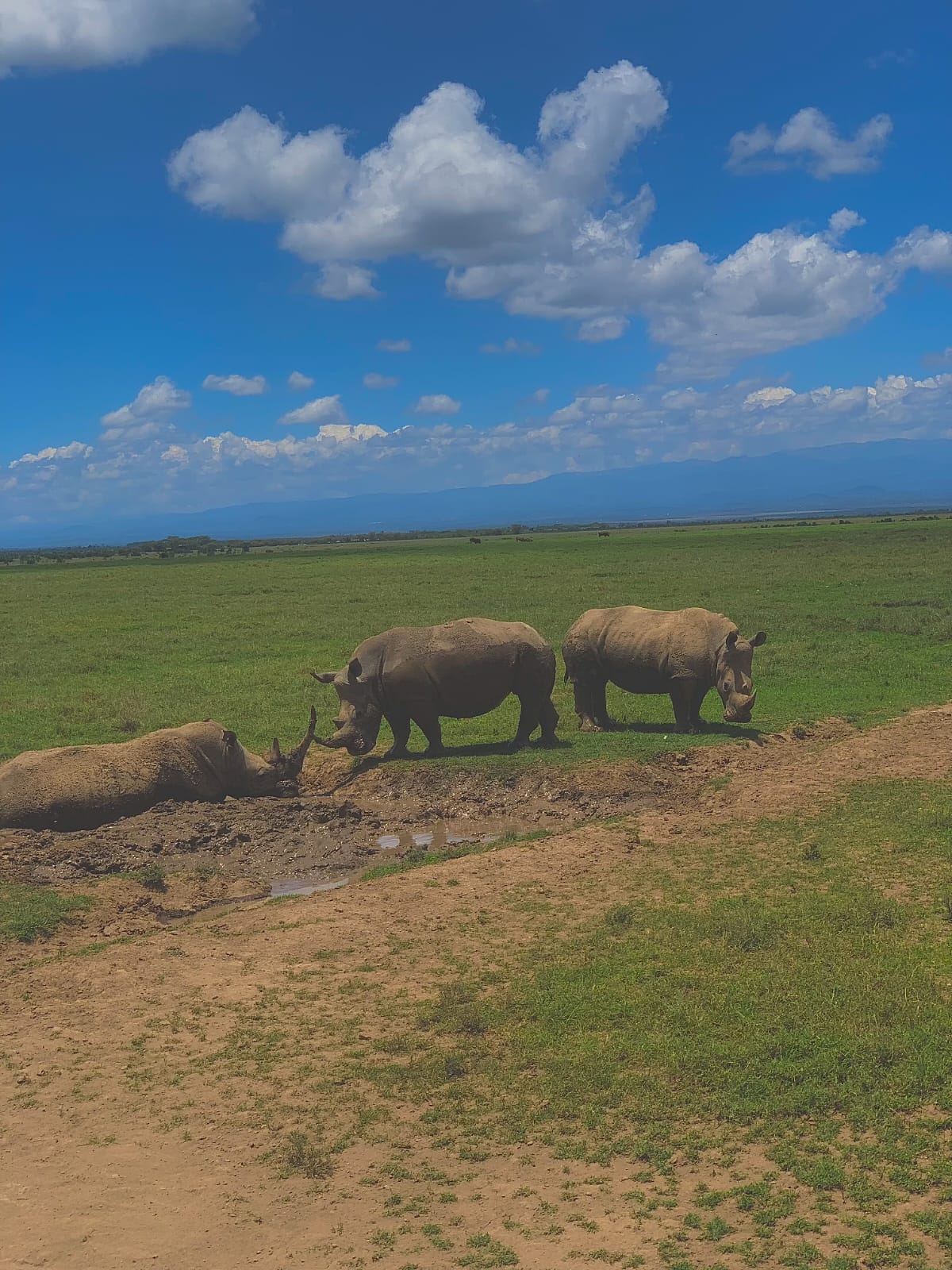Munzat Safaris