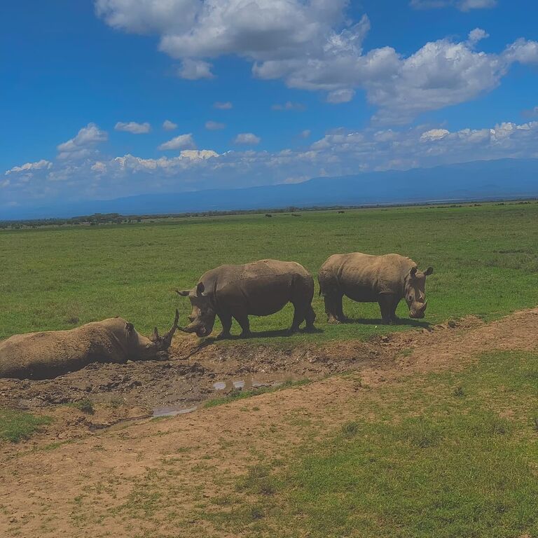 Munzat Safaris