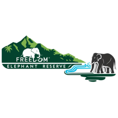 Freedom Elephant Reserve Phuket