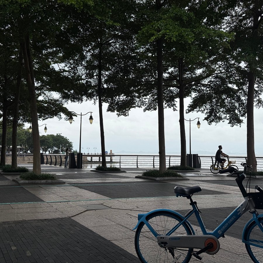 Blue Bike Travel