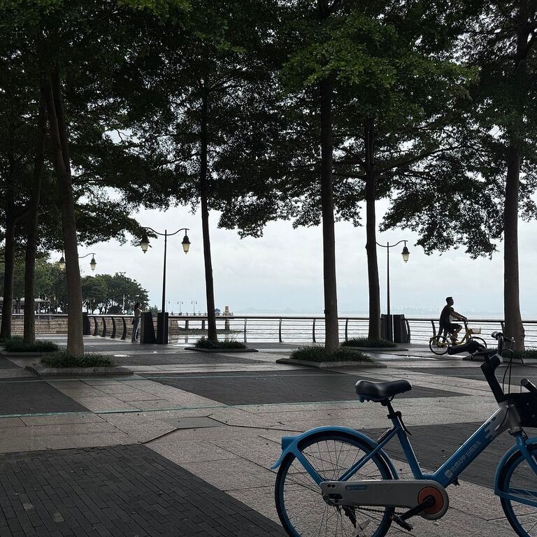 Blue Bike Travel