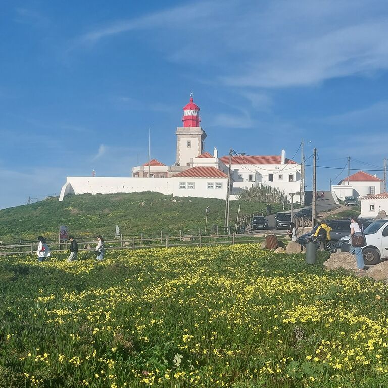 Sunset private tours&transfers