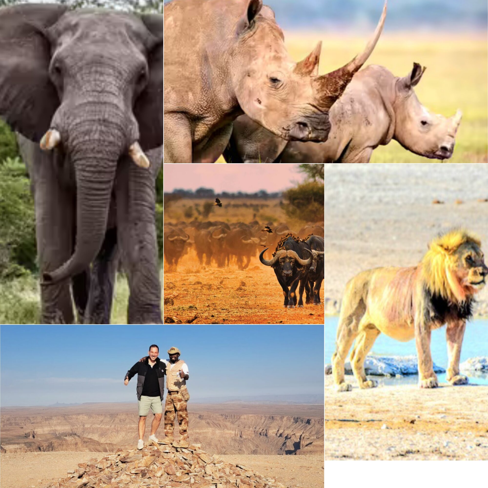 Rion Wildlife Safaris cc