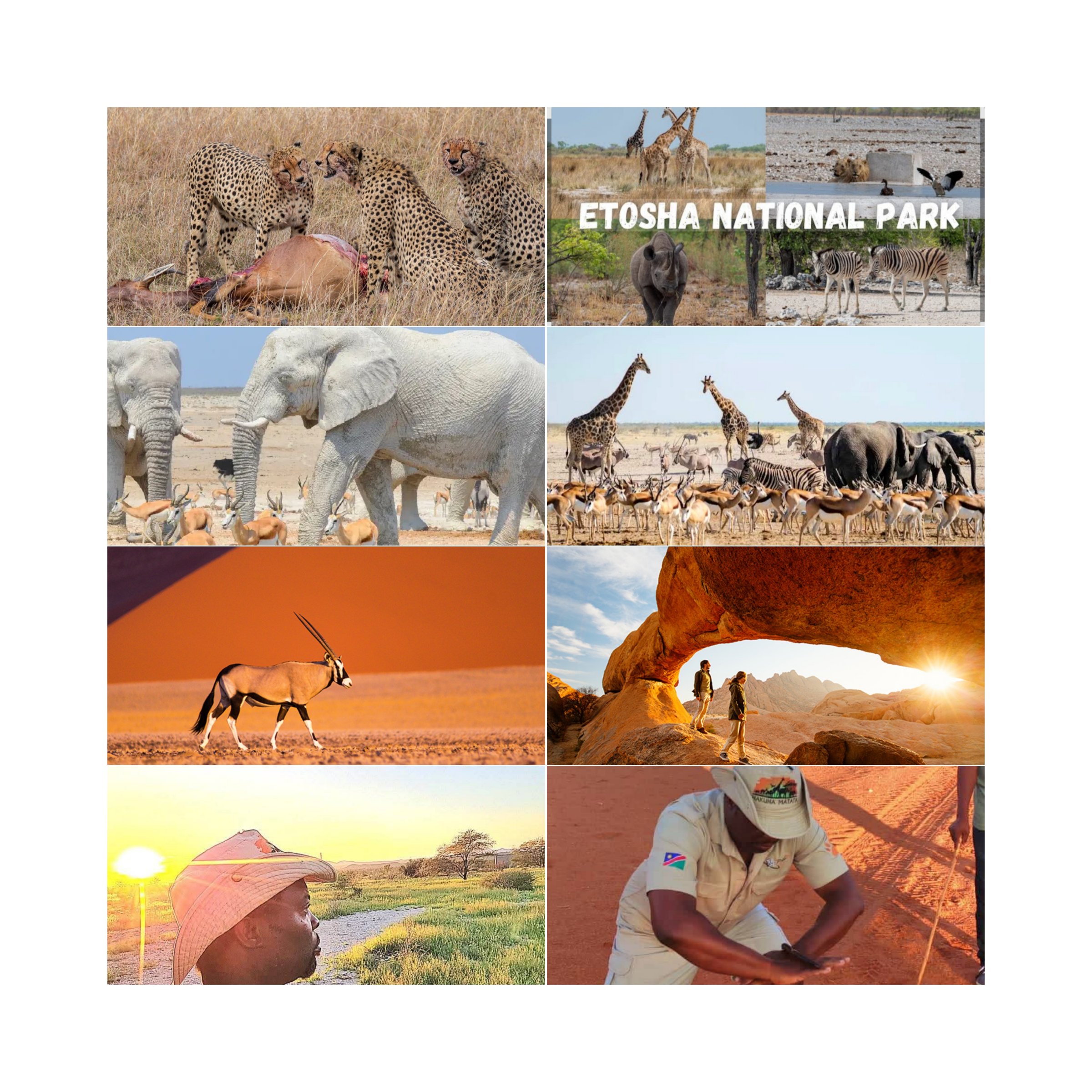 Rion Wildlife Safaris cc