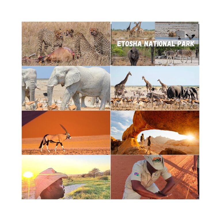 Rion Wildlife Safaris cc