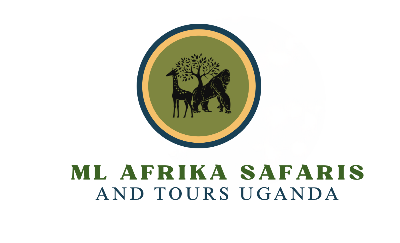 ML AFRIKA SAFARIS AND TOURS UGANDA