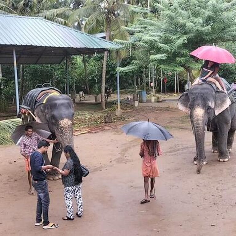 SAMVEDA Charity Tours India