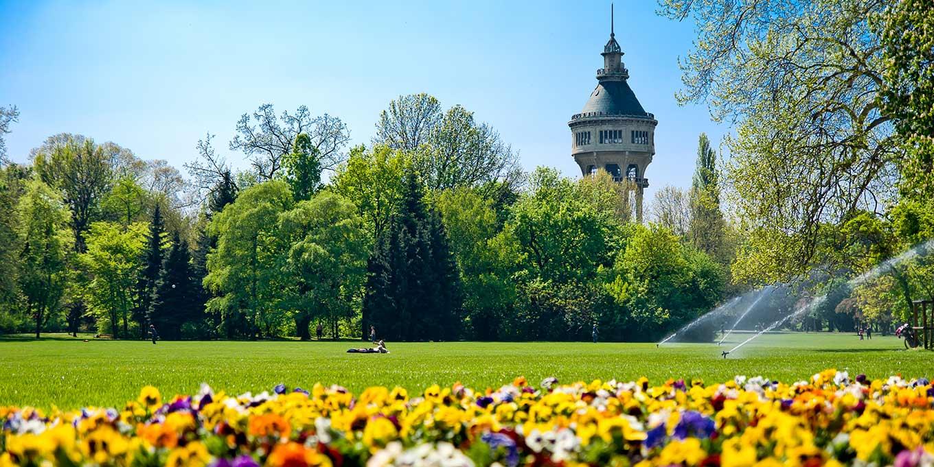 Molnár