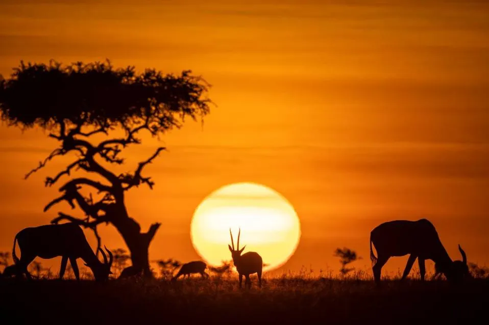 Heartland Safaris Limited