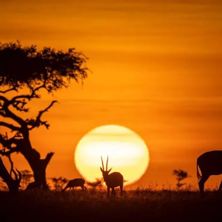 Heartland Safaris Limited