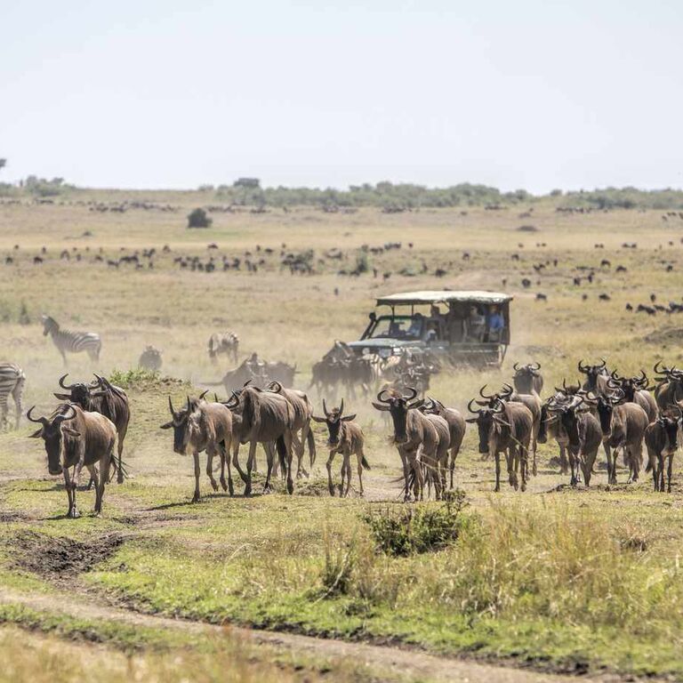 Heartland Safaris Limited