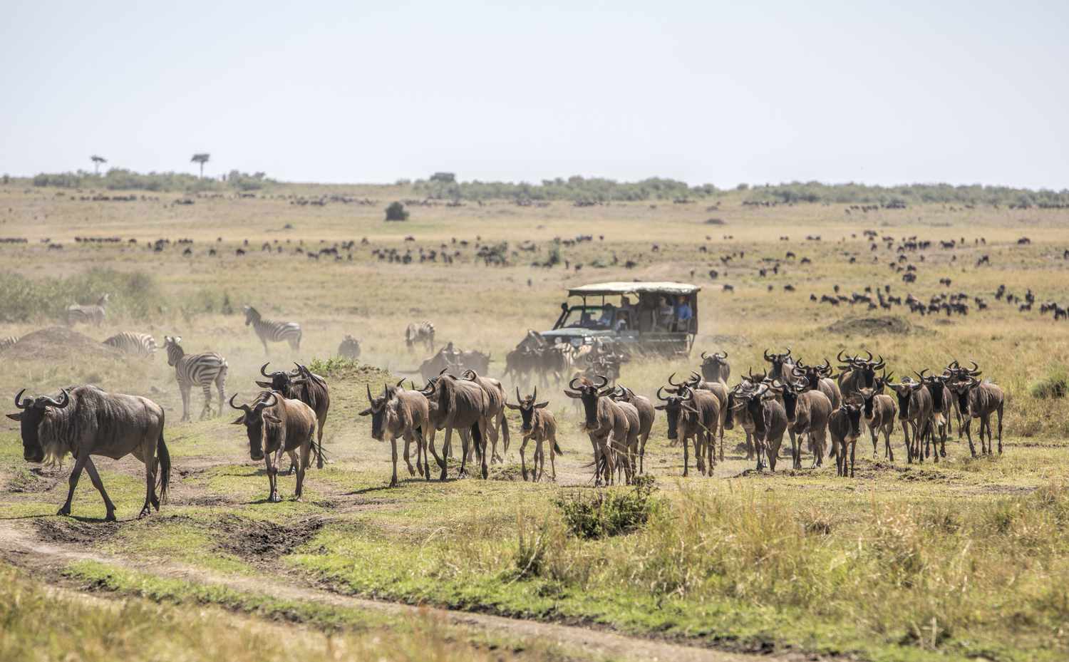 Heartland Safaris Limited