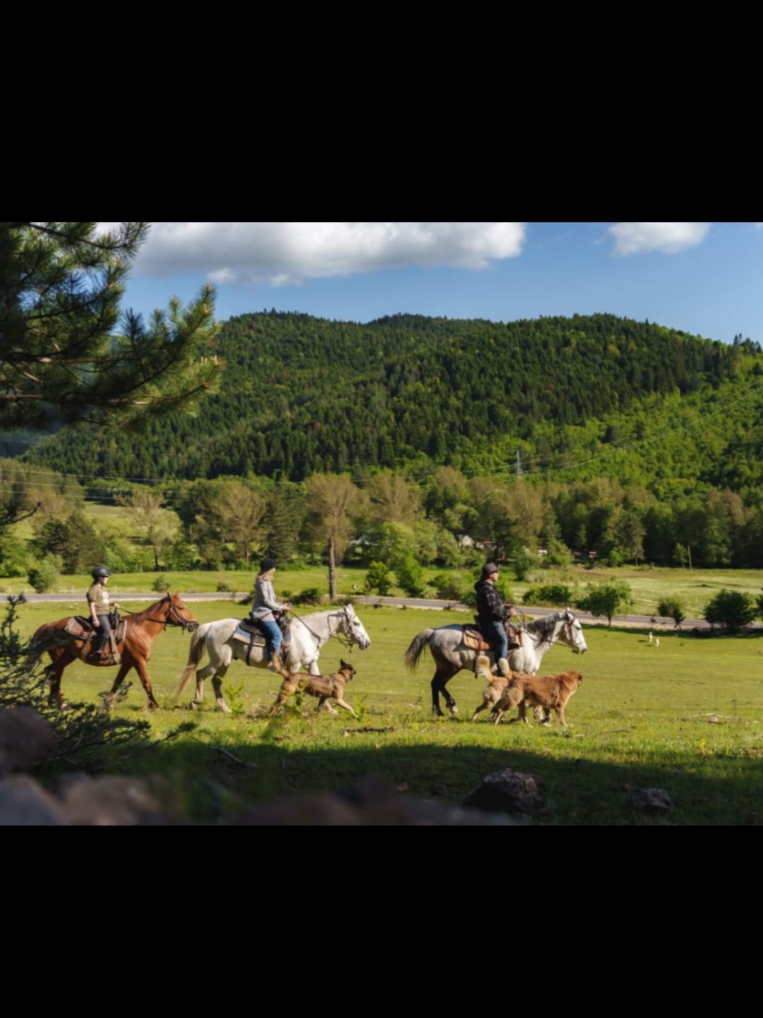 Randonée équestre en Albanie