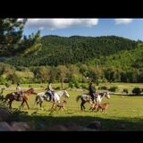 Randonée équestre en Albanie