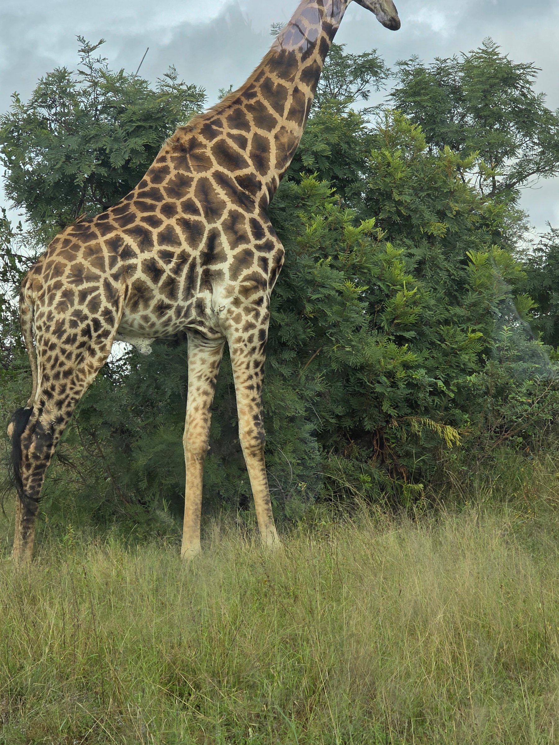Mkhombo Safaris Pty Ltd