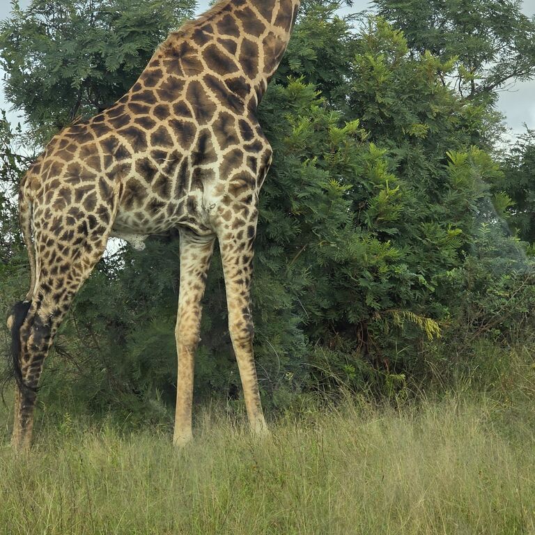 Mkhombo Safaris Pty Ltd