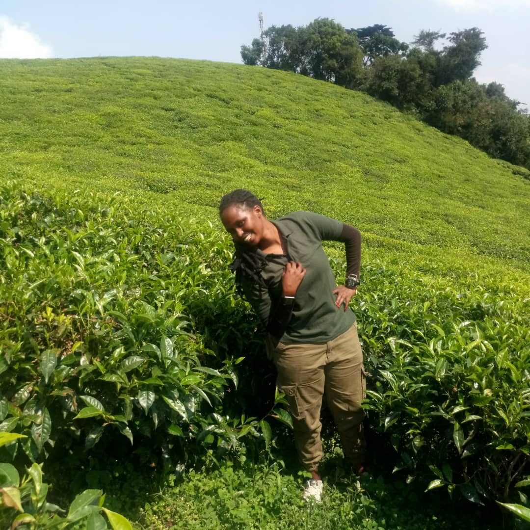Rwanda best view tours