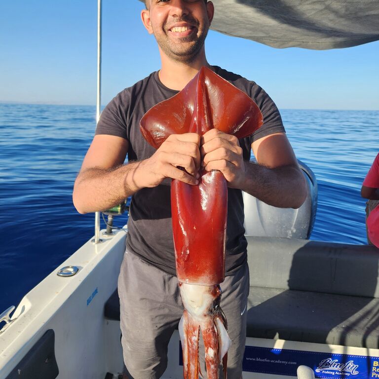 Redsea fishing anglers