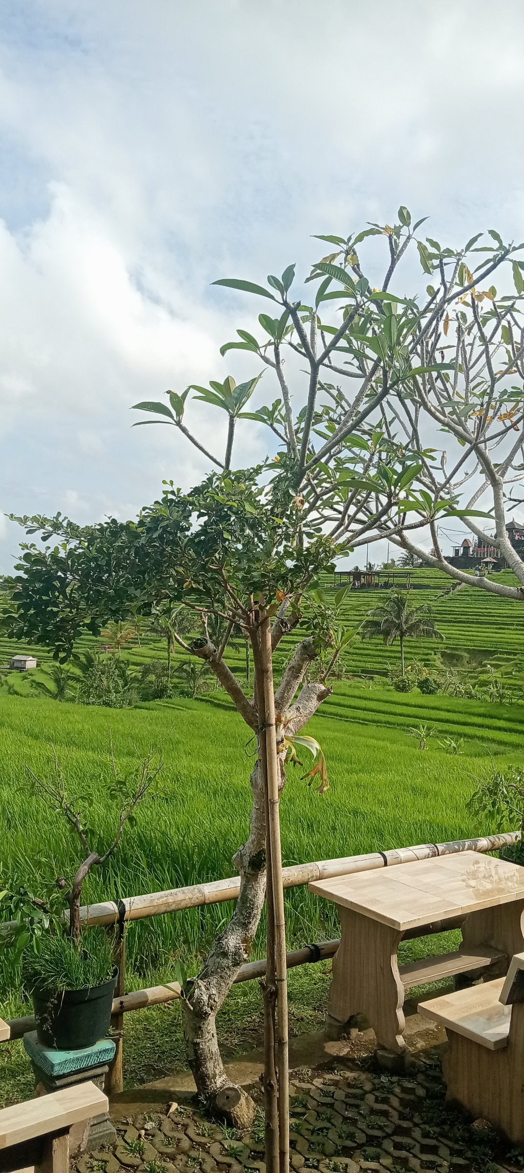 i kadek sunetra