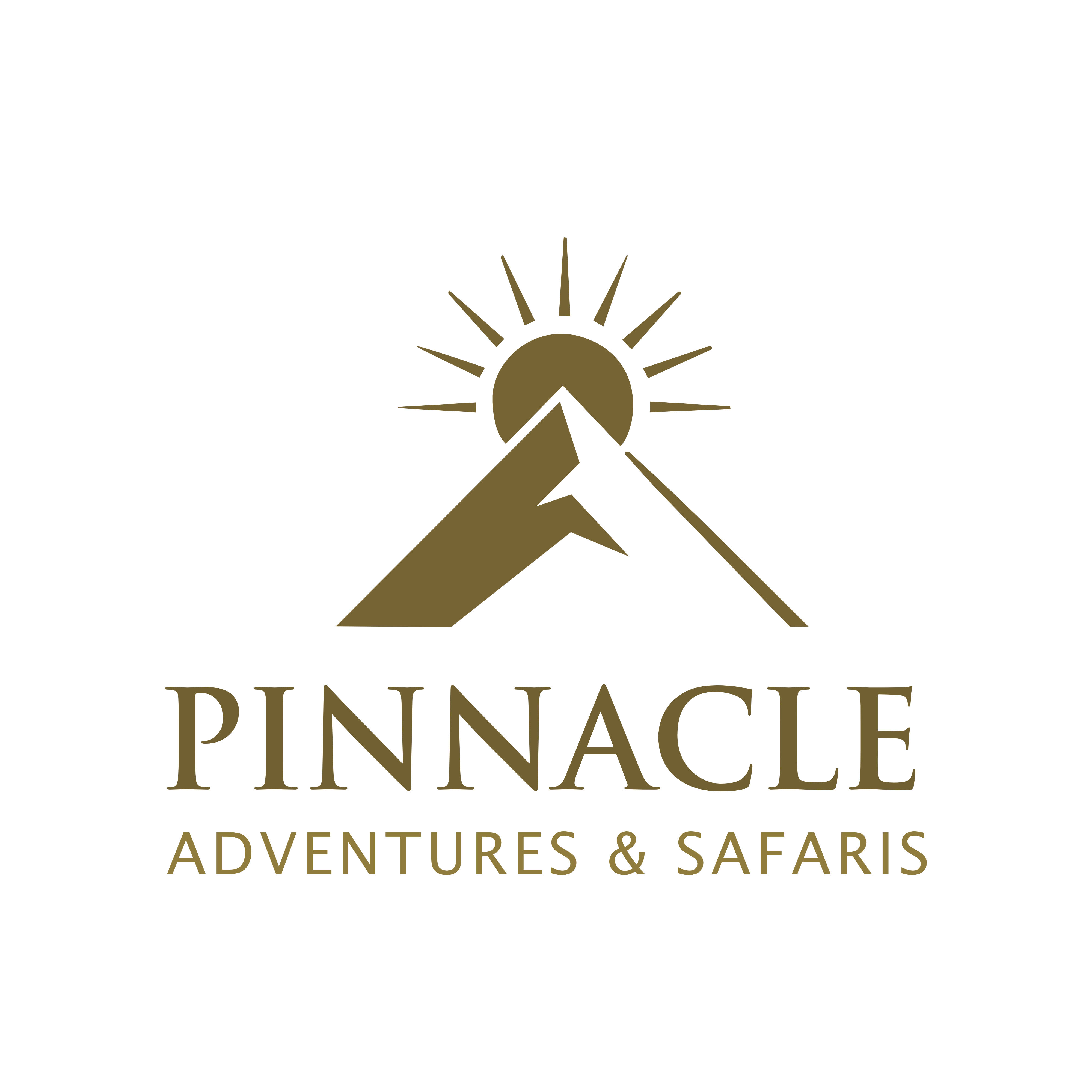 Pinnacle Adventures and Safaris