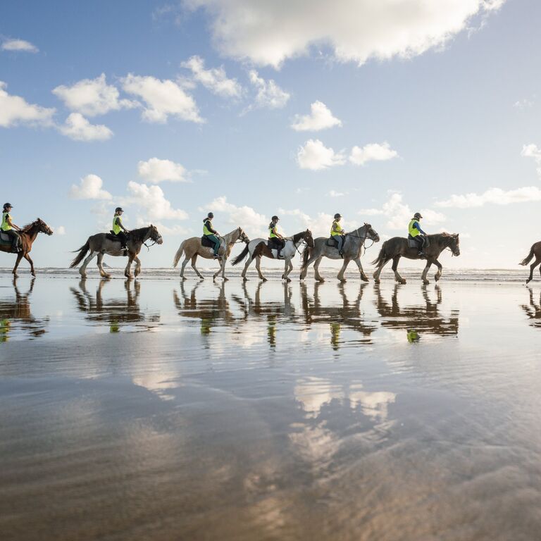 Muriwai Beach Horse Treks