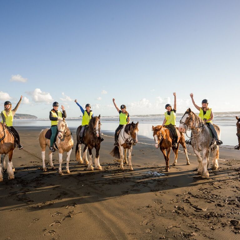 Muriwai Beach Horse Treks