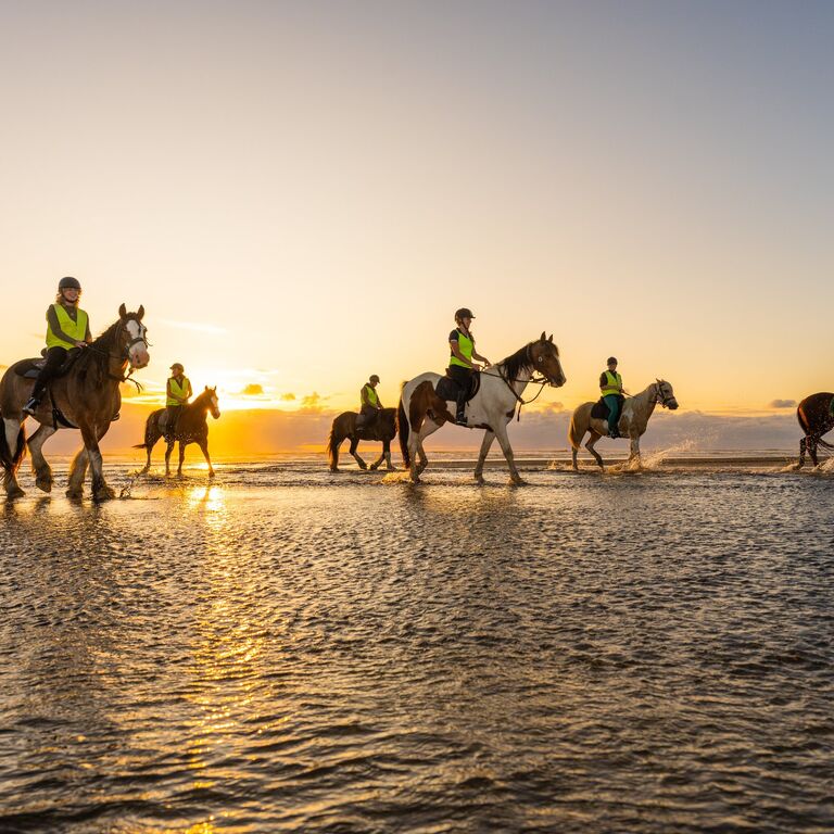Muriwai Beach Horse Treks