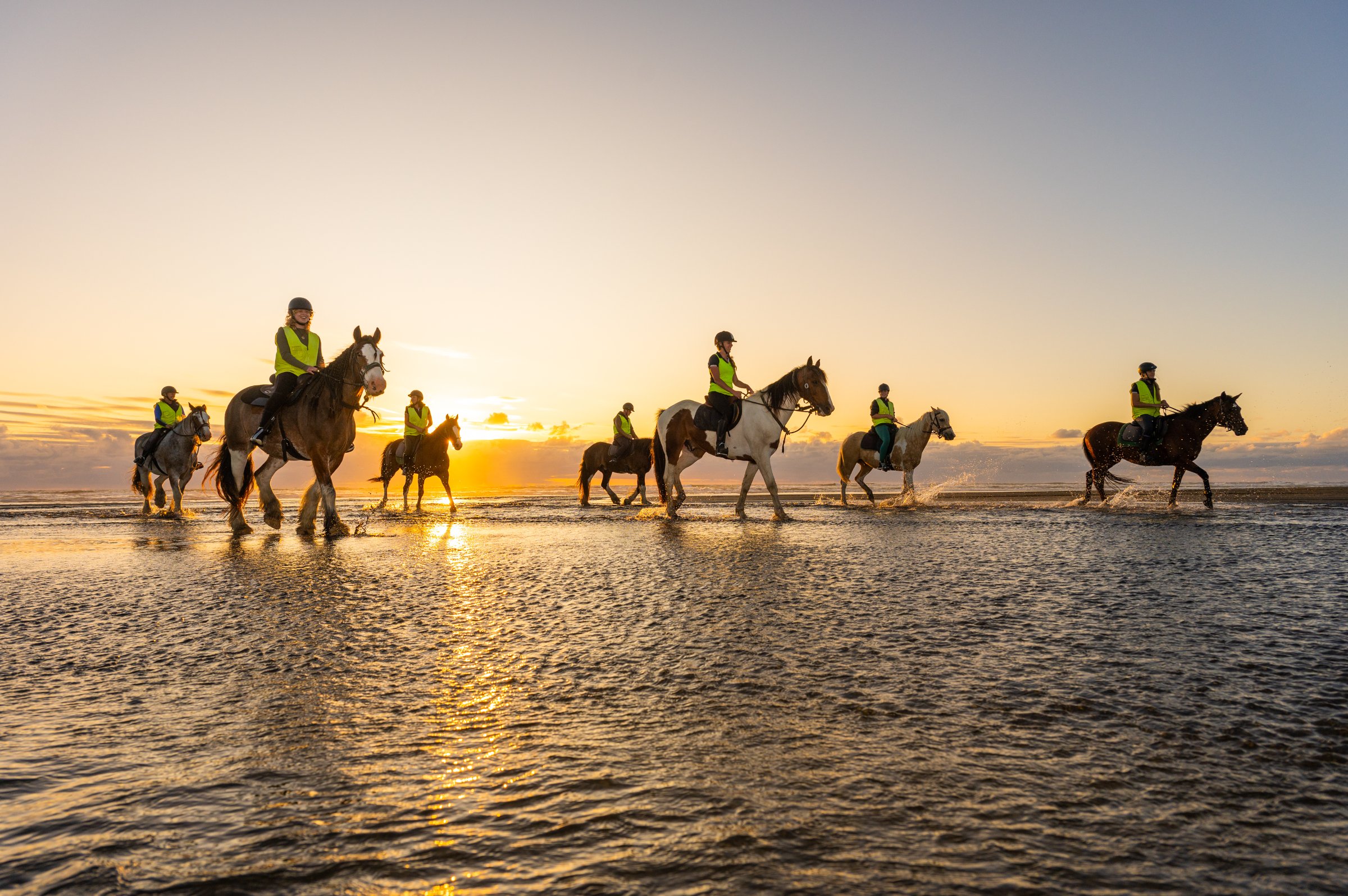 Muriwai Beach Horse Treks